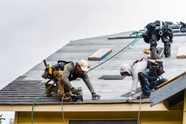 Professional Gutter Installation technician working in Paint Bank, VA